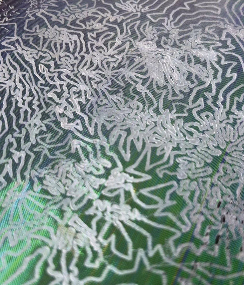 Fabric Experiment 2