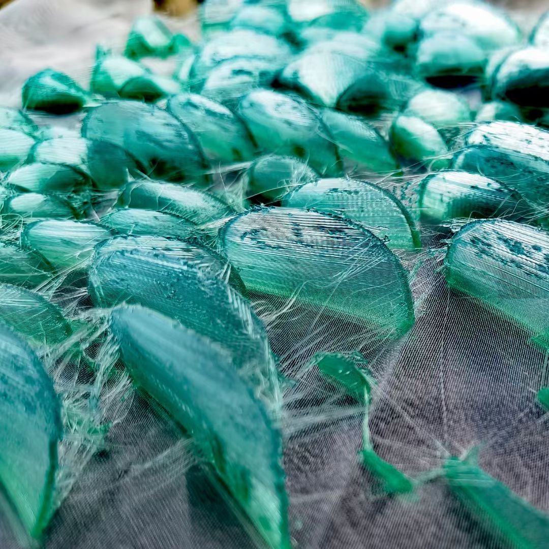 3D Printed Wing Structure